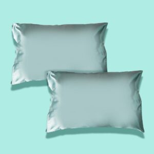 2x Satin Pillowcase Bundle (Worth £19.98)